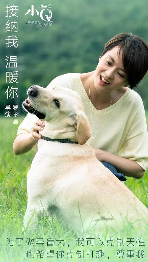 火红的枫叶送给老师做贺卡写点什么